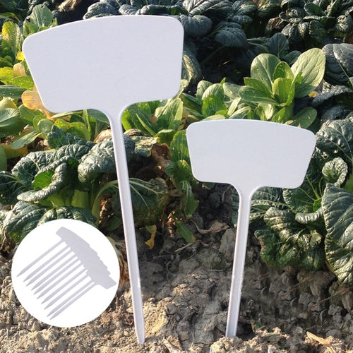 Plants Tags