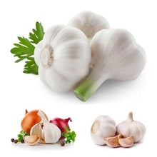 Load image into Gallery viewer, Giant Garlic